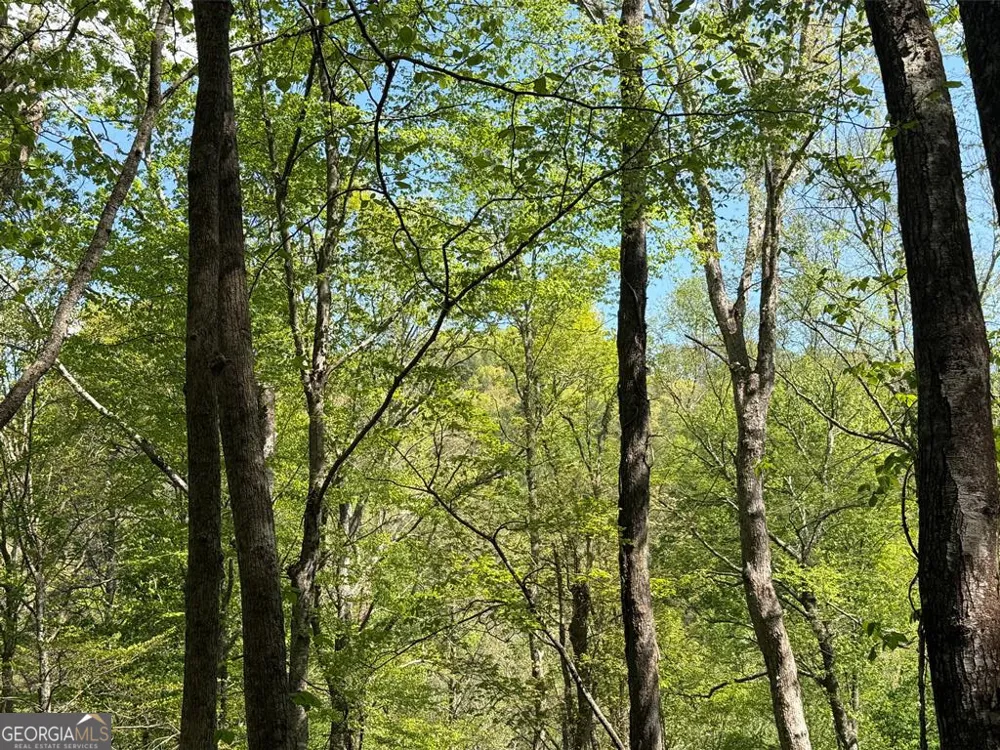 9.8 AC Brown Mountain Suches, GA 30572