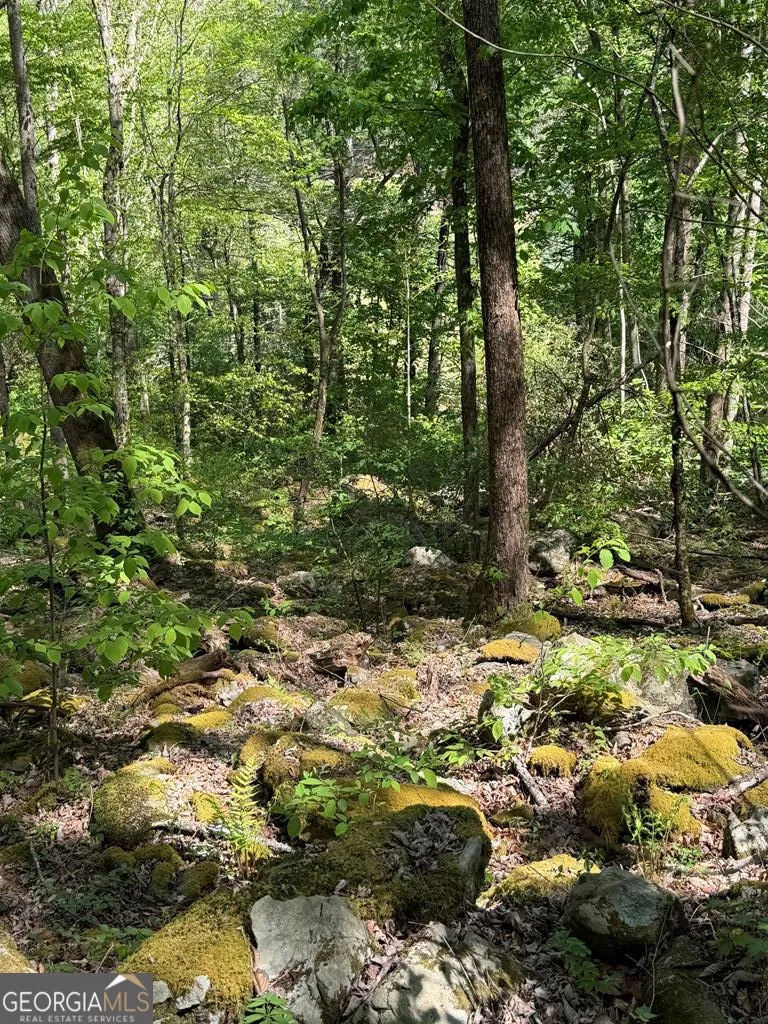 9.8 AC Brown Mountain Suches, GA 30572