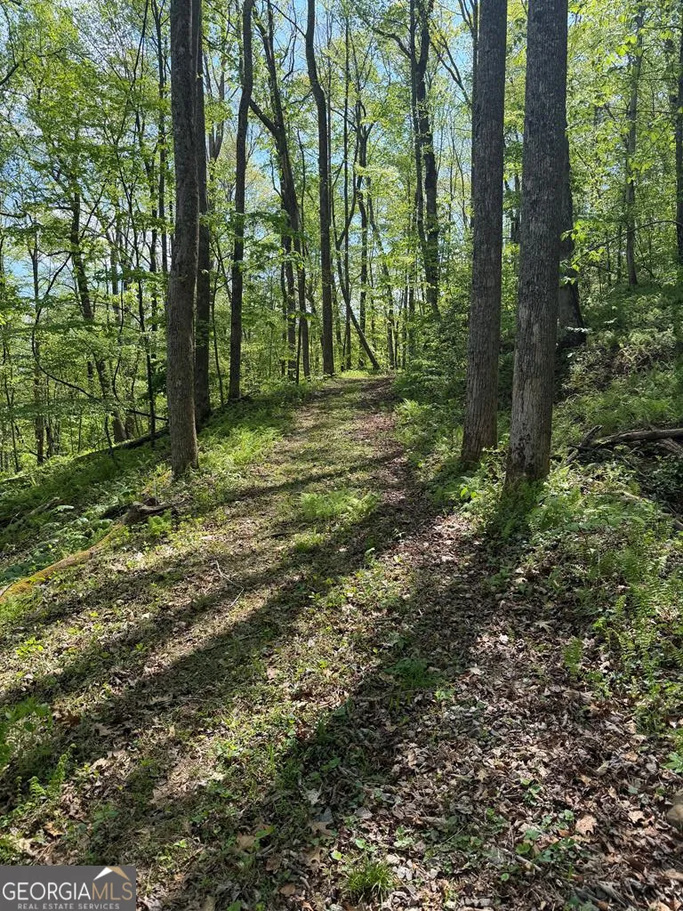 9.8 AC Brown Mountain Suches, GA 30572