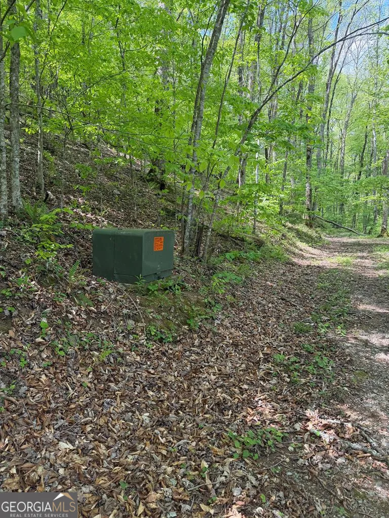 9.8 AC Brown Mountain Suches, GA 30572