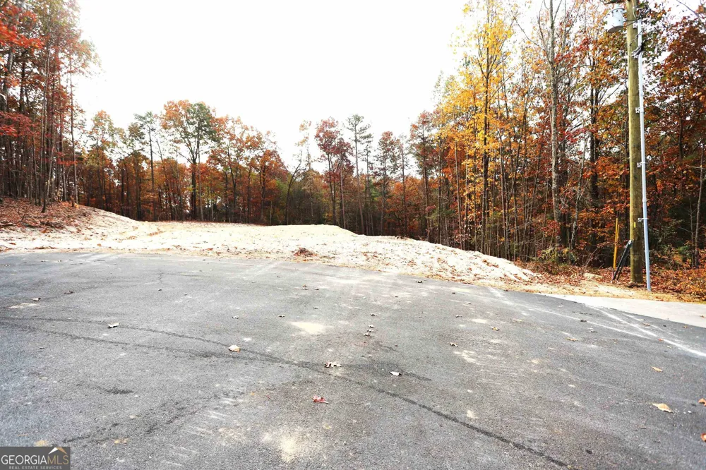 249 Sara Jane LN Summerville, GA 30747