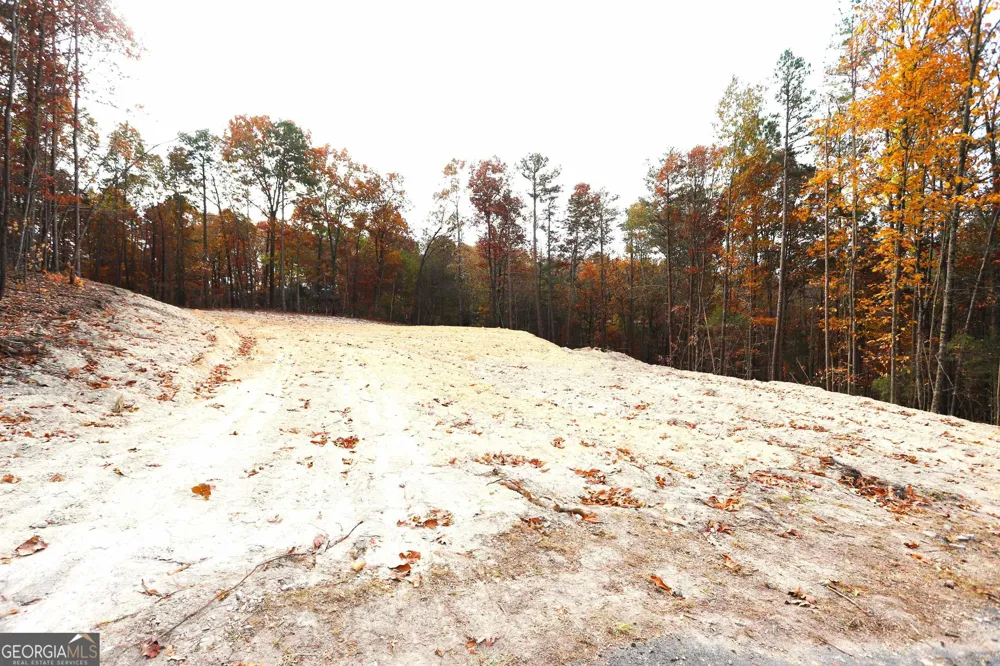 249 Sara Jane LN Summerville, GA 30747