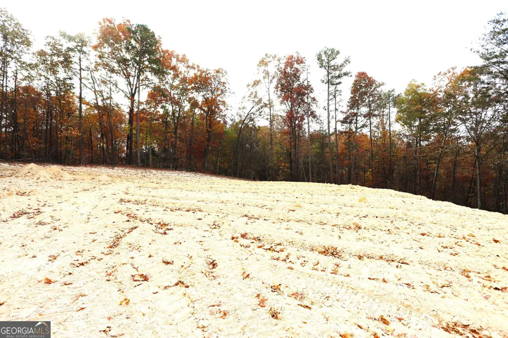 249 Sara Jane LN Summerville, GA 30747