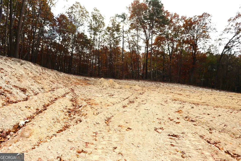 249 Sara Jane LN Summerville, GA 30747