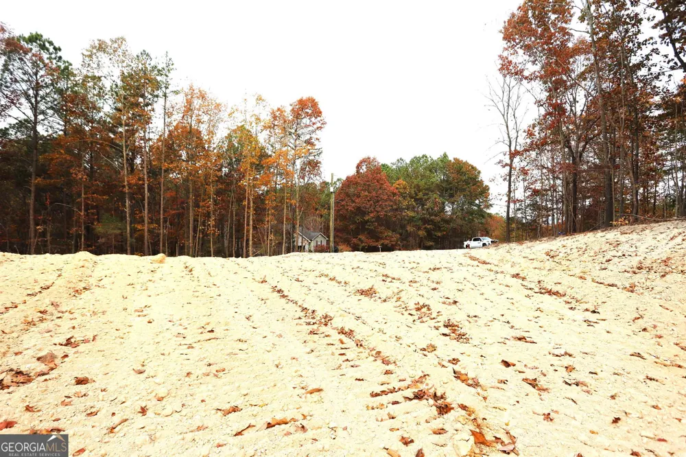 249 Sara Jane LN Summerville, GA 30747