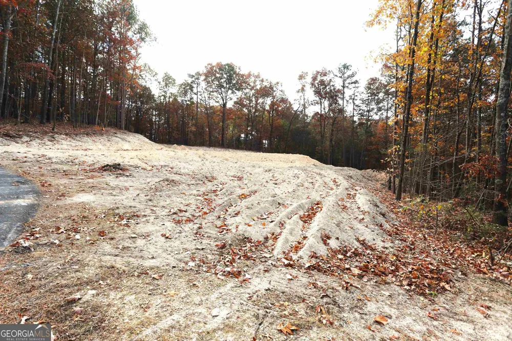 249 Sara Jane LN Summerville, GA 30747