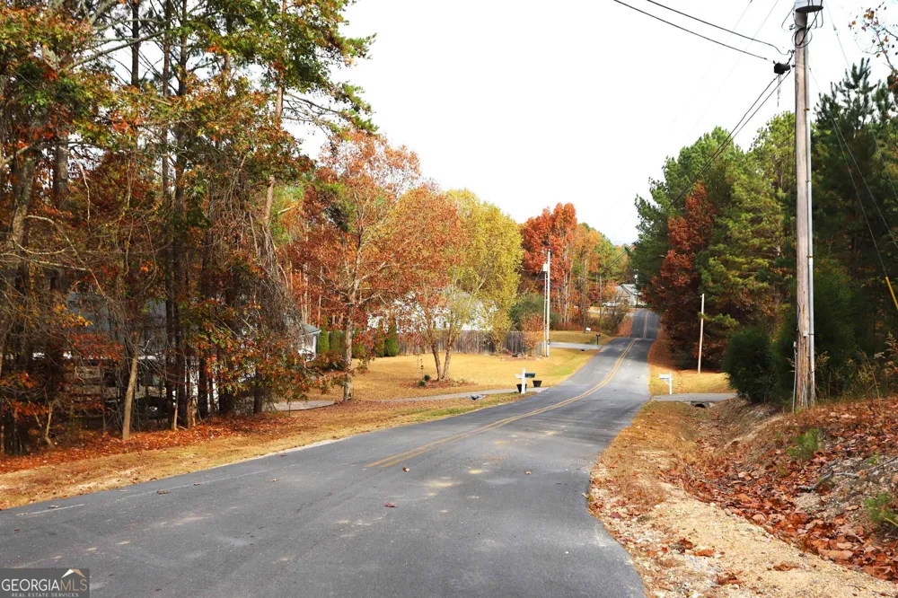 249 Sara Jane LN Summerville, GA 30747