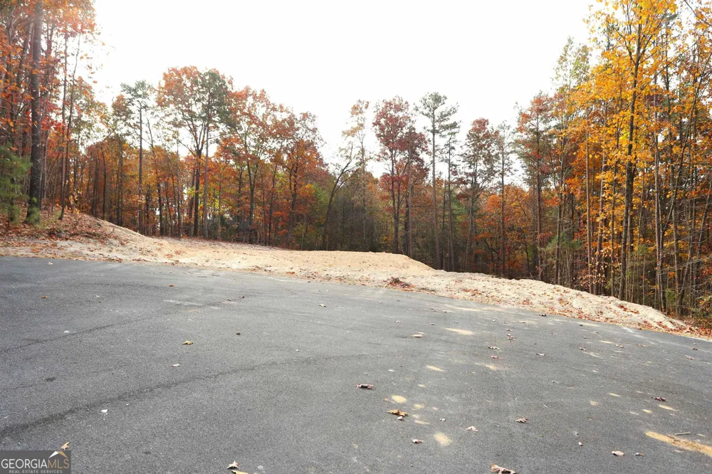 249 Sara Jane LN Summerville, GA 30747