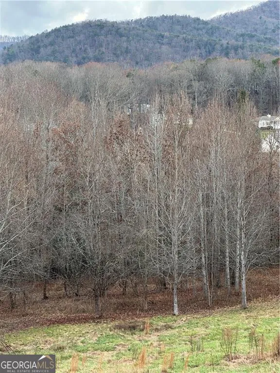 0 Hwy 75 Alt Ga Cleveland, GA 30528