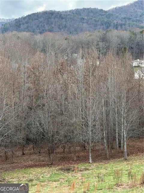 0 Hwy 75 Alt Ga