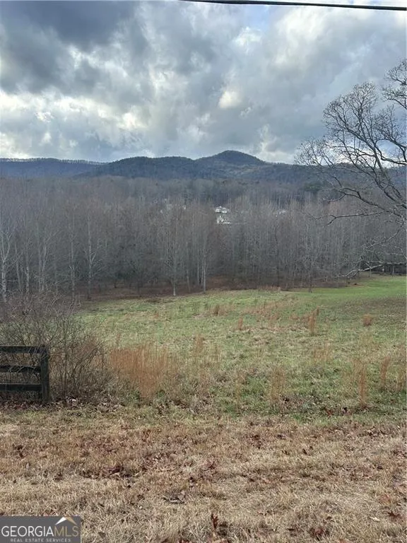 0 Hwy 75 Alt Ga Cleveland, GA 30528