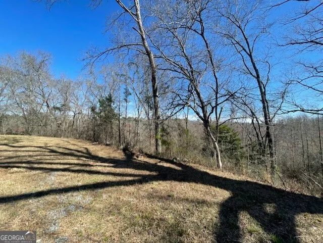 6070 Riggins Mill RD Dry Branch, GA 31020