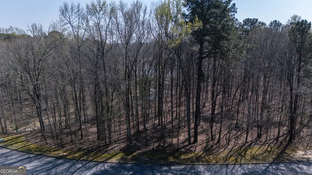 110 Bayberry RUN Fayetteville, GA 30214