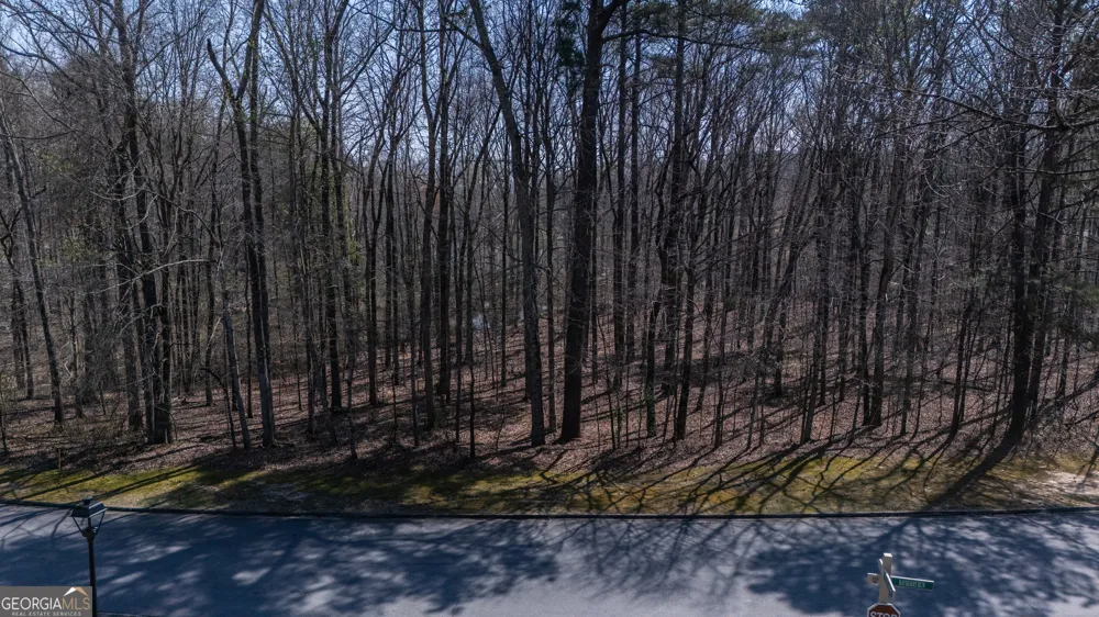 110 Bayberry RUN Fayetteville, GA 30214