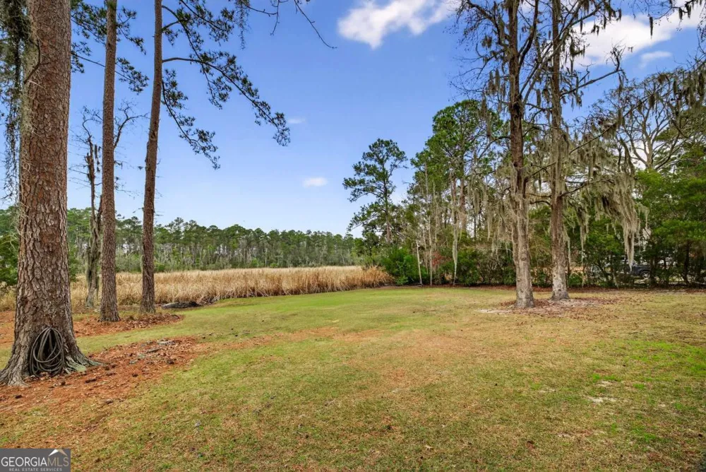 314 Mill Run RD Richmond Hill, GA 31324
