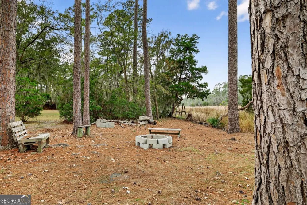 314 Mill Run RD Richmond Hill, GA 31324