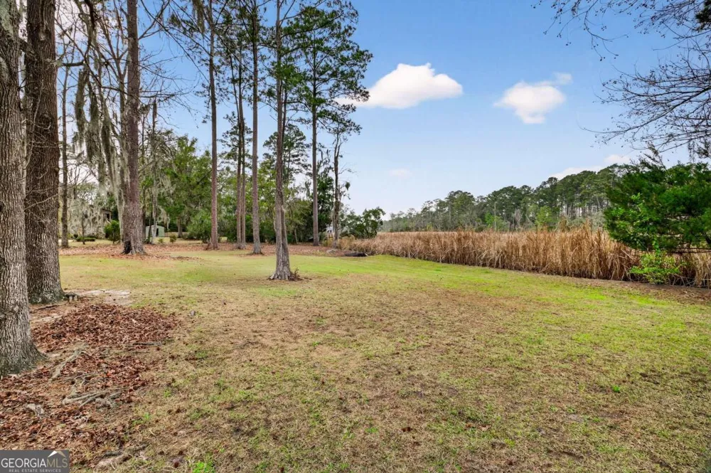 314 Mill Run RD Richmond Hill, GA 31324