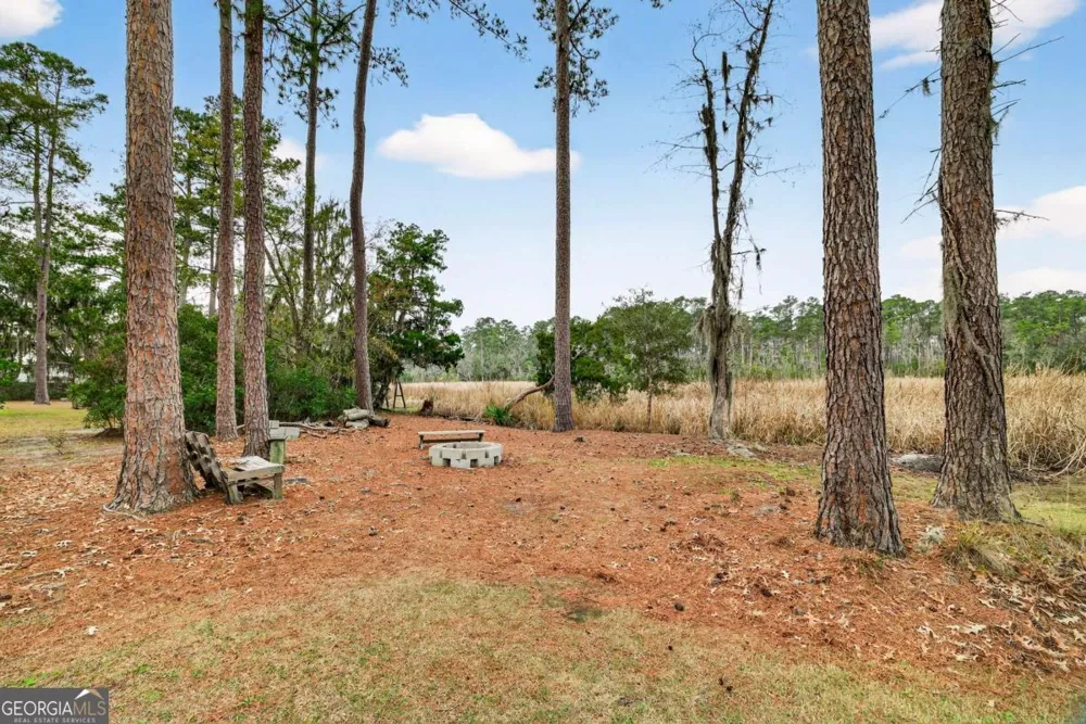 314 Mill Run RD Richmond Hill, GA 31324
