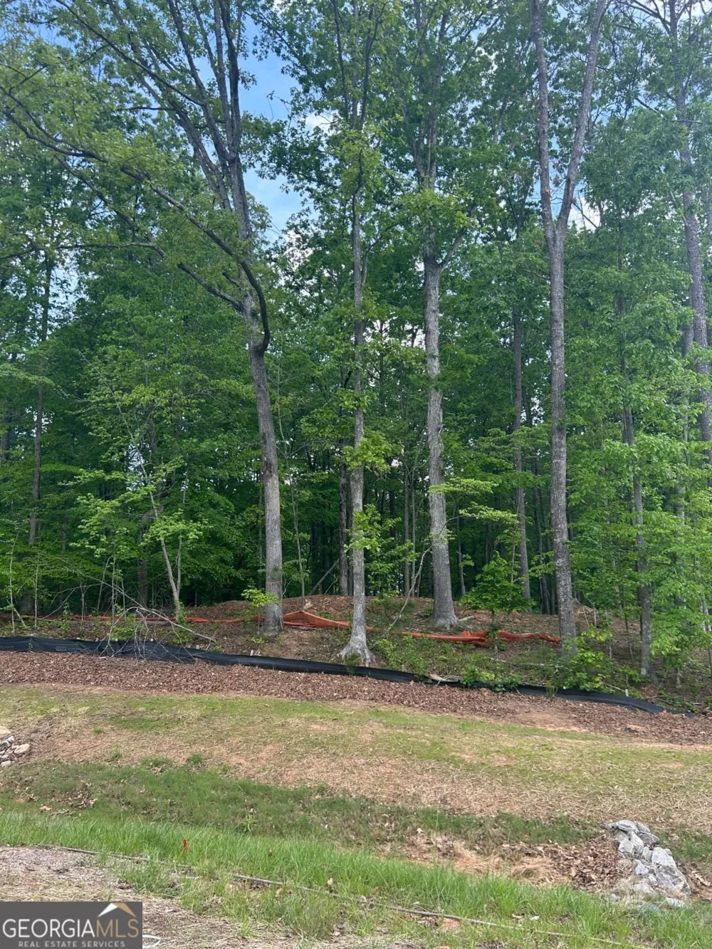 240 Thompson TRL Alpharetta, GA 30004