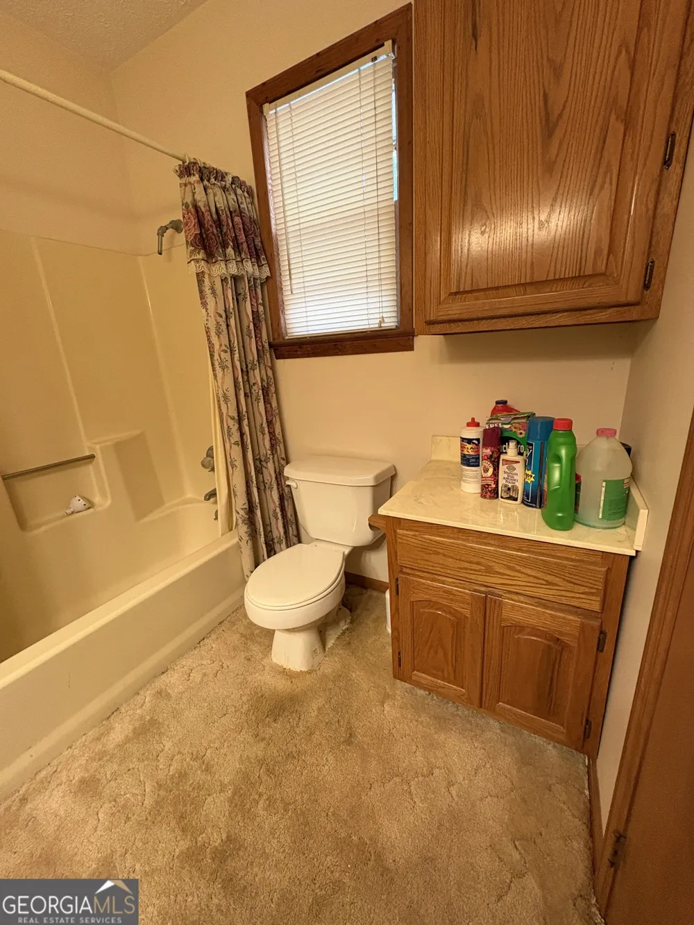 5735 Fitzgerald ST Eastman, GA 31023