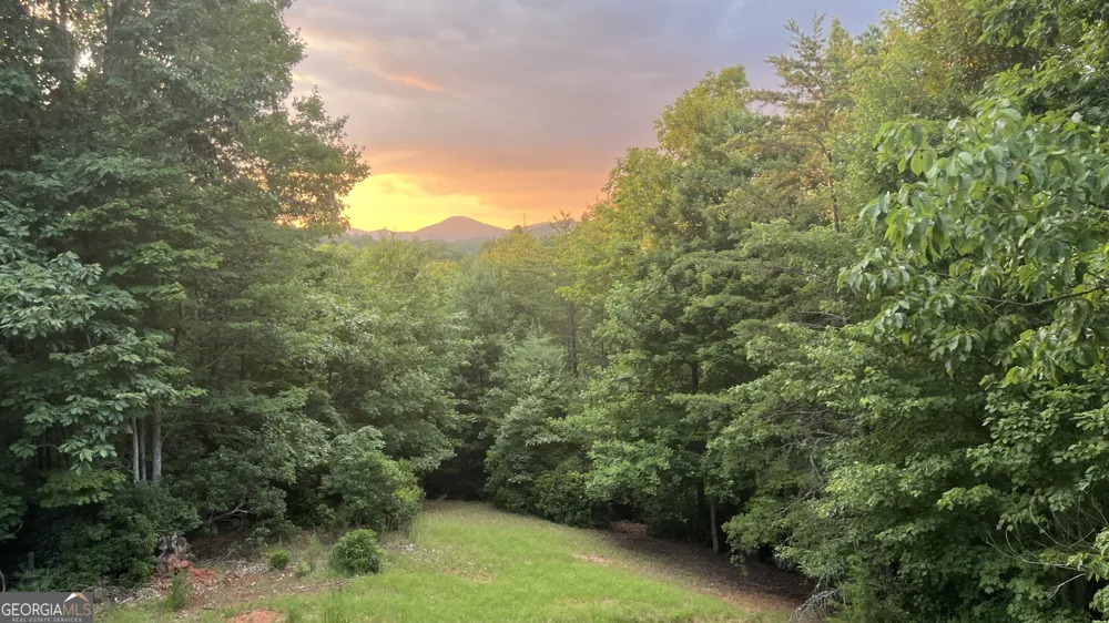 1036 Wards Creek DR Dahlonega, GA 30533