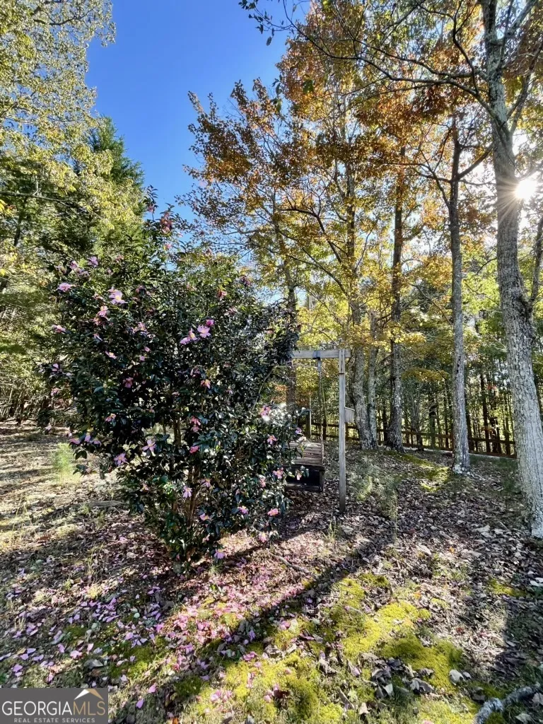 1036 Wards Creek DR Dahlonega, GA 30533