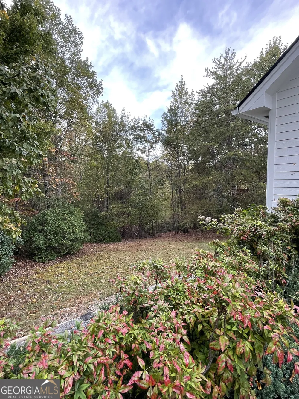 1036 Wards Creek DR Dahlonega, GA 30533