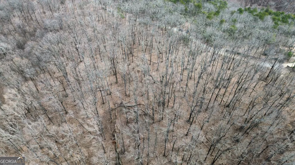 0 Clearview DR Talking Rock, GA 30175