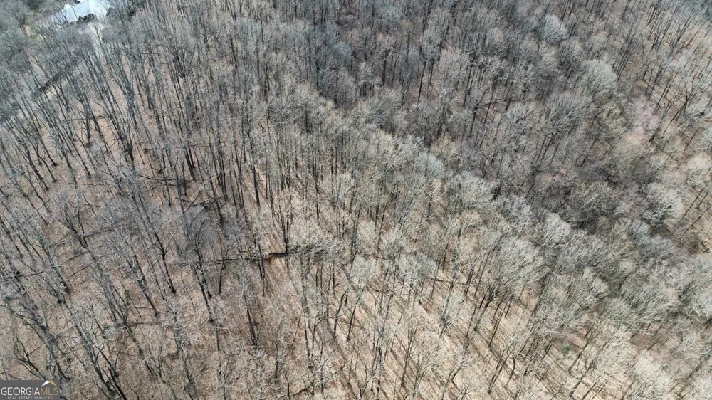 0 Clearview DR Talking Rock, GA 30175