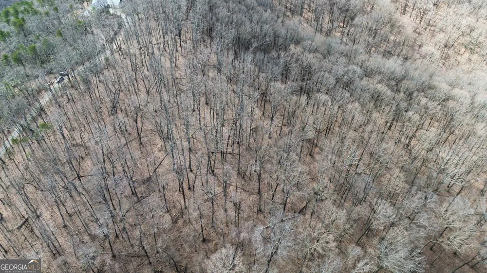 0 Clearview DR Talking Rock, GA 30175