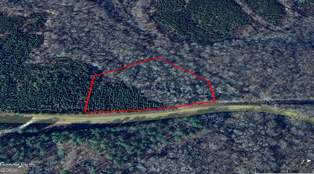0 Bevis Rd Parcel 1 Franklin, GA 30217