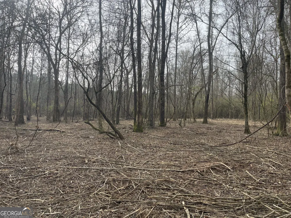 0 Bevis Rd Parcel 1 Franklin, GA 30217