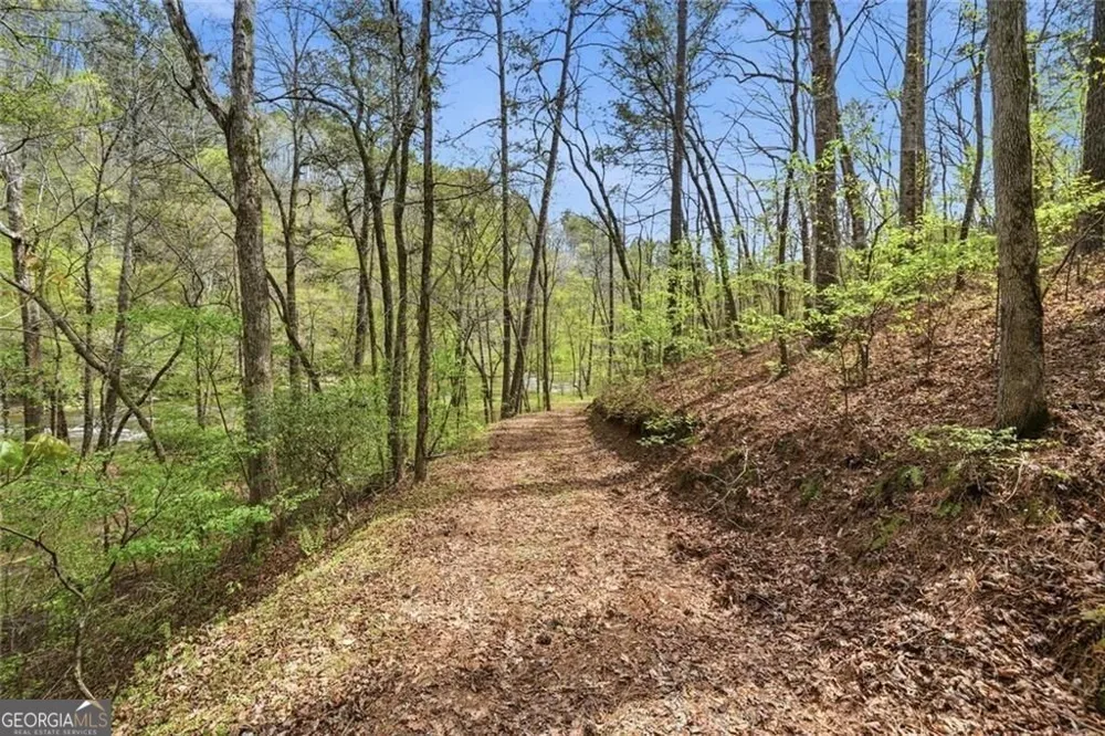 0 Marie DR Talking Rock, GA 30175