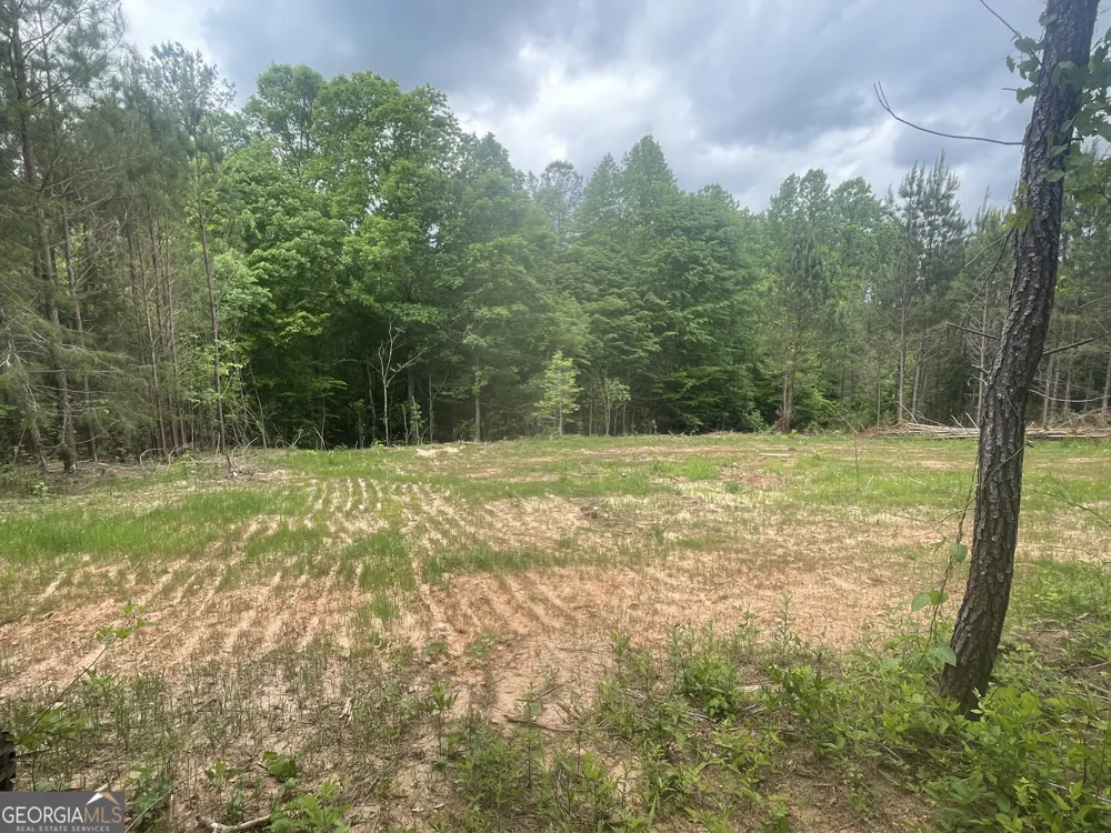 0 Bevis Rd Parcel 9 Franklin, GA 30217