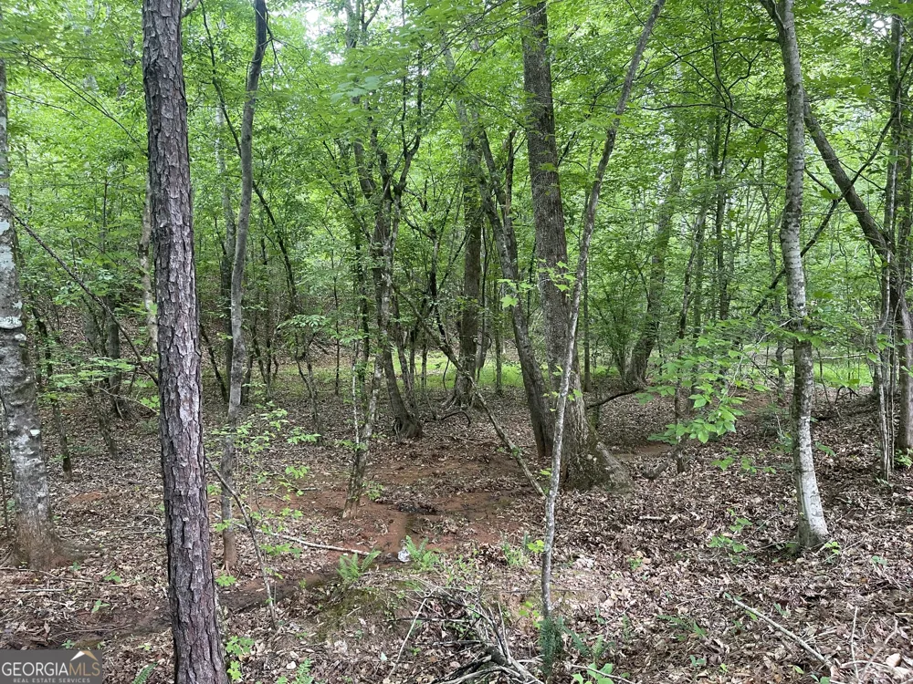 0 Bevis Rd Parcel 9 Franklin, GA 30217