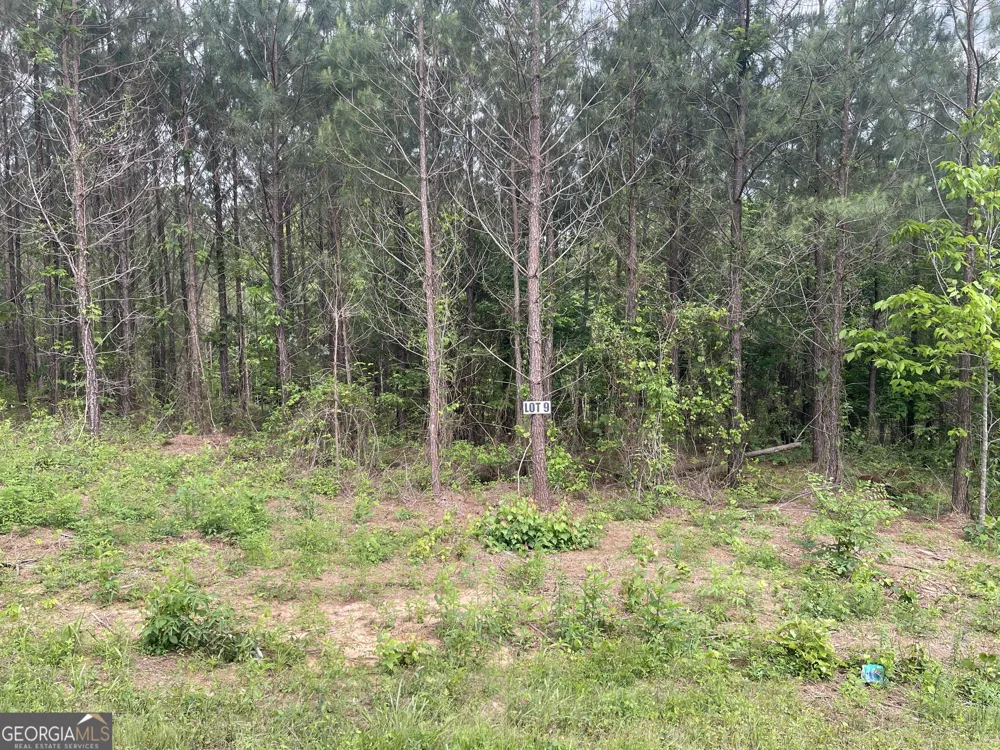 0 Bevis Rd Parcel 9 Franklin, GA 30217