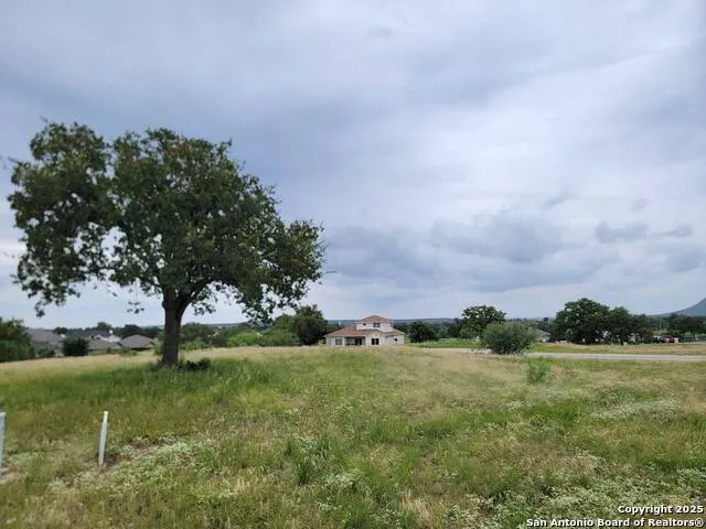 118 Copper Sage CT Kingsland, TX 78639
