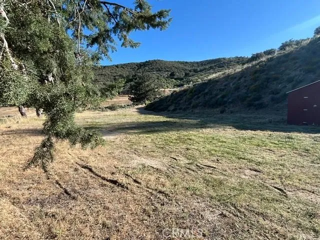 40007 92nd Street W Leona Valley, CA 93551