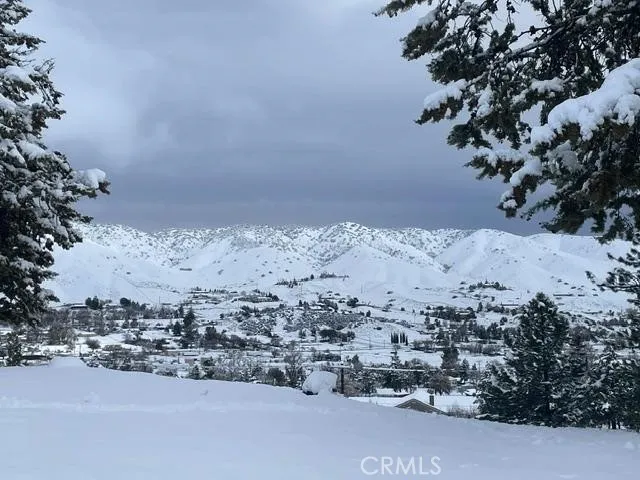 40007 92nd Street W Leona Valley, CA 93551