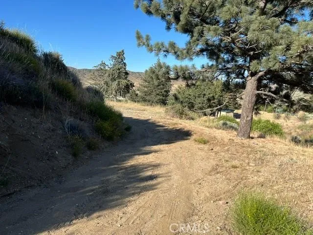 40007 92nd Street W Leona Valley, CA 93551