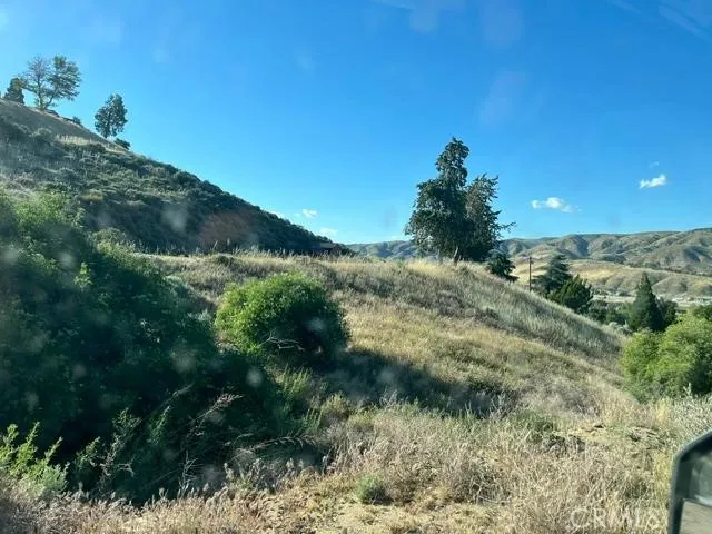 40007 92nd Street W Leona Valley, CA 93551