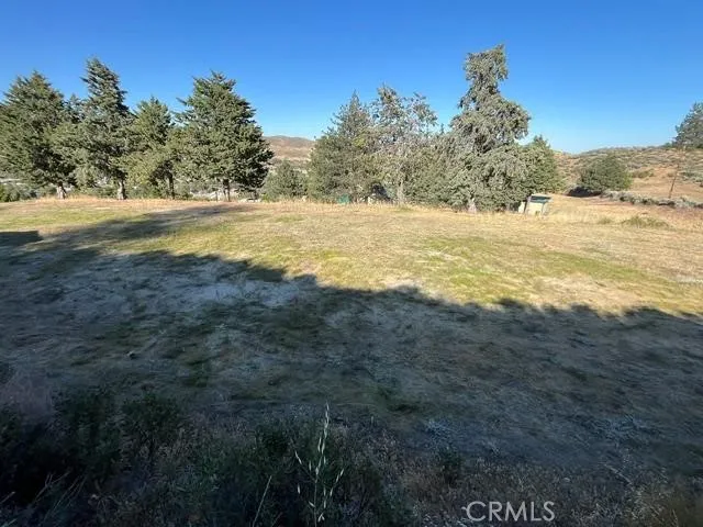 40007 92nd Street W Leona Valley, CA 93551