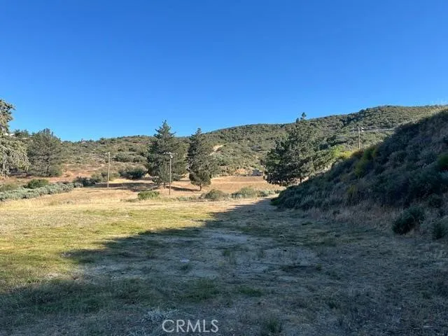 40007 92nd Street W Leona Valley, CA 93551