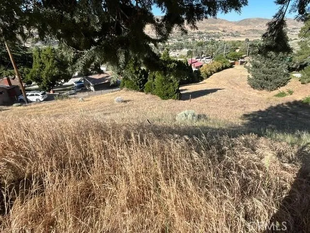 40007 92nd Street W Leona Valley, CA 93551