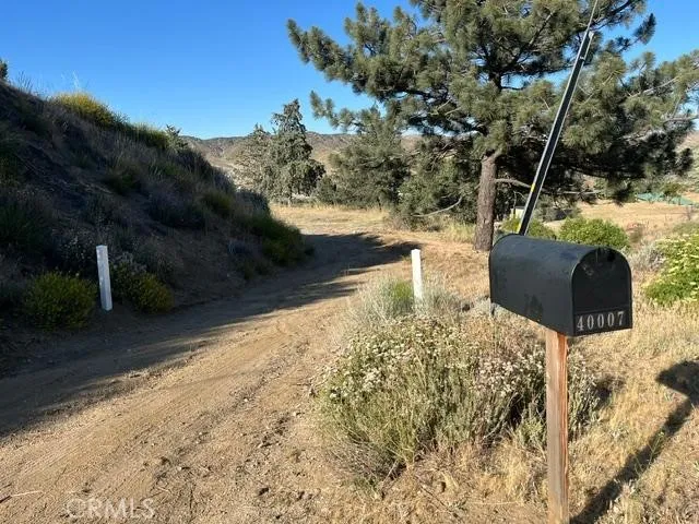 40007 92nd Street W Leona Valley, CA 93551
