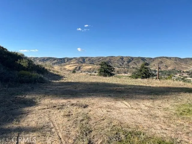 40007 92nd Street W Leona Valley, CA 93551