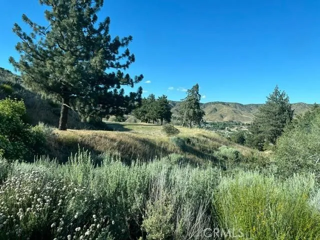 40007 92nd Street W Leona Valley, CA 93551