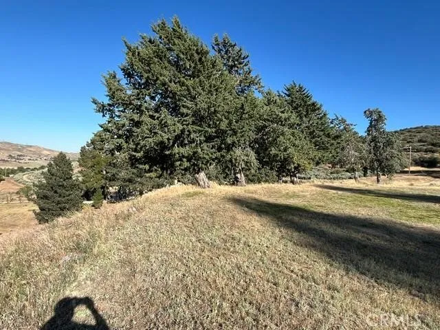 40007 92nd Street W Leona Valley, CA 93551