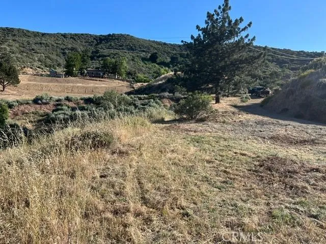 40007 92nd Street W Leona Valley, CA 93551
