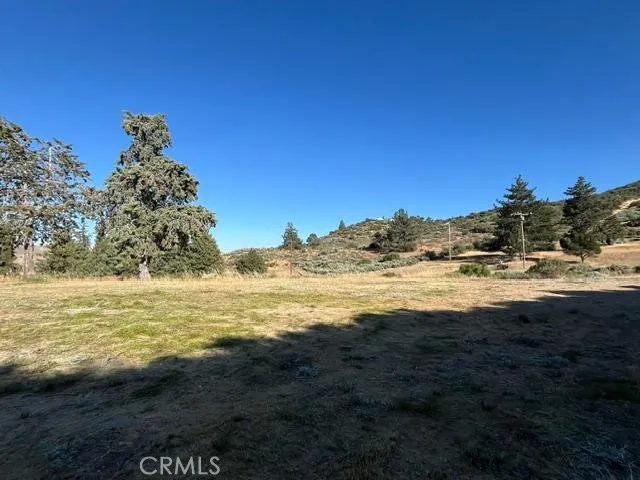 40007 92nd Street W Leona Valley, CA 93551